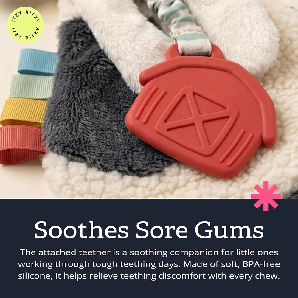 Itzy Ritzy Plush Teething Lovey