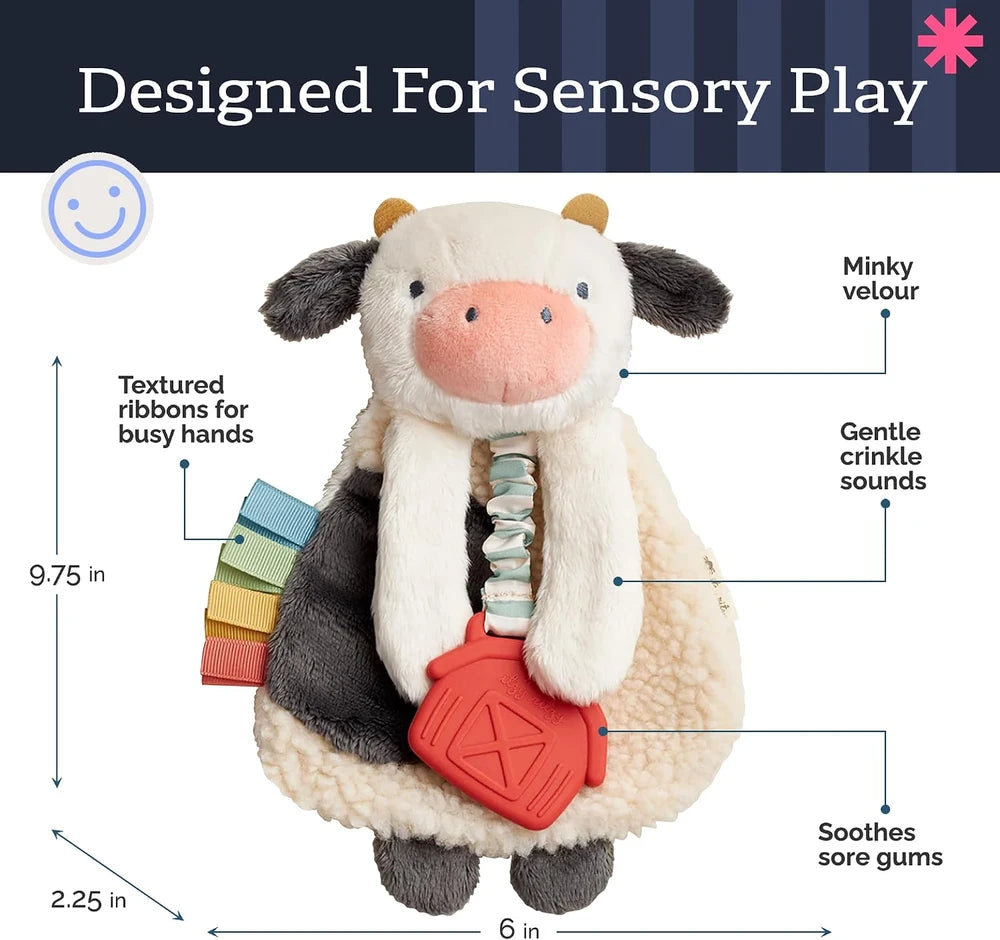 Itzy Ritzy Plush Teething Lovey