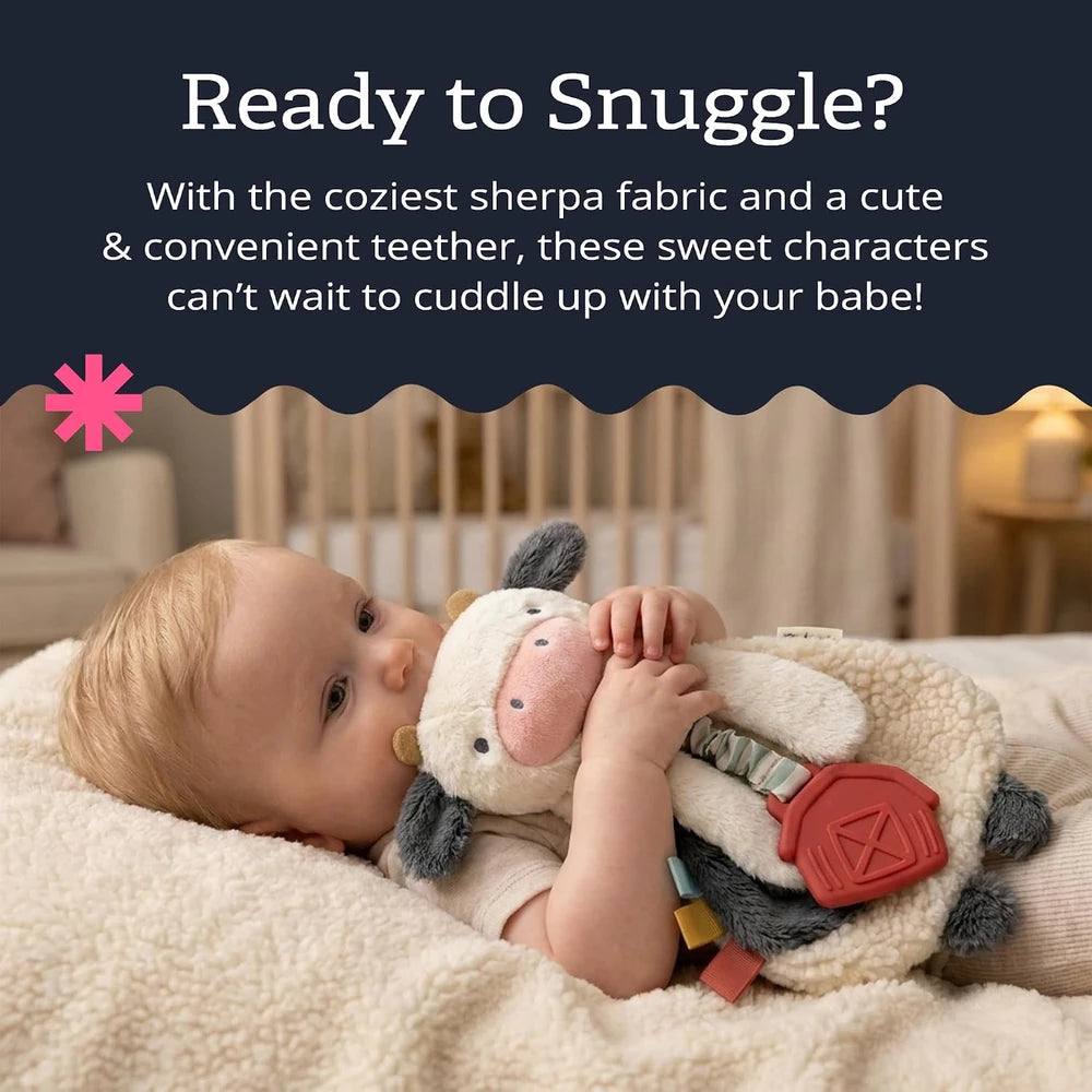 Itzy Ritzy Plush Teething Lovey