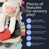 Itzy Ritzy Plush Teething Lovey
