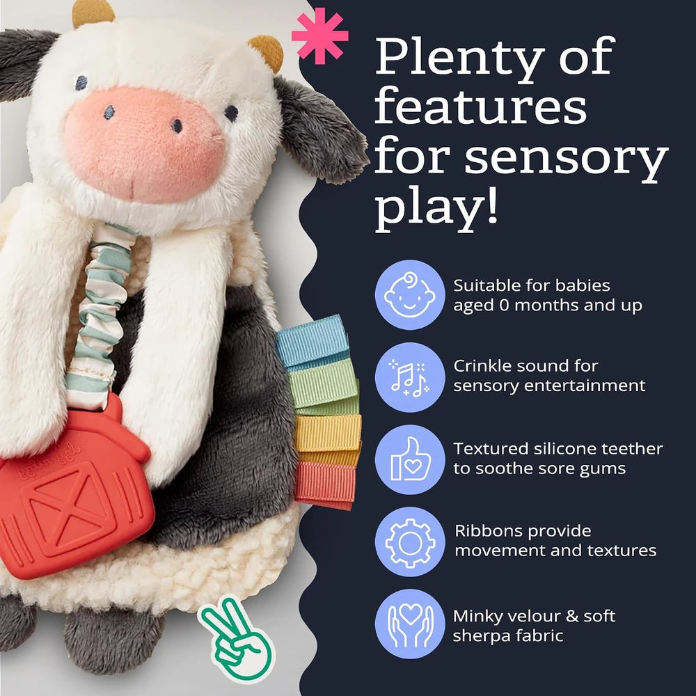 Itzy Ritzy Plush Teething Lovey