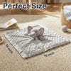 Pro Goleem Elephant Security Blanket