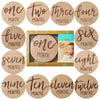 Baby Monthly Milestone Marker Discs