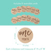 Baby Monthly Milestone Marker Discs